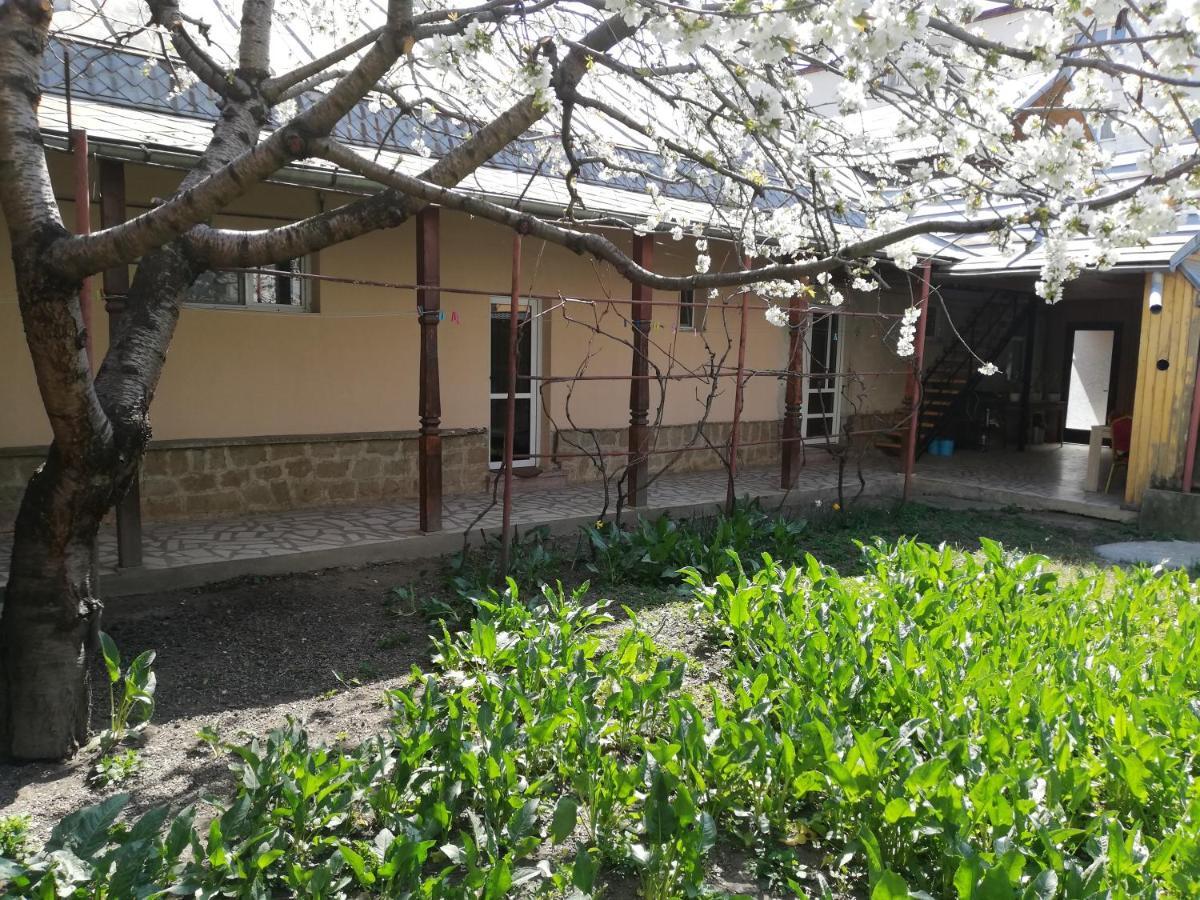 מלון Tîrgu Ocna Casa Bucur מראה חיצוני תמונה